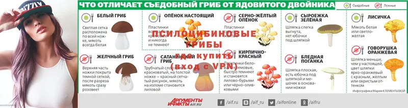 Галлюциногенные грибы прущие грибы Крымск